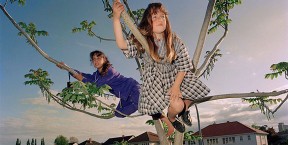 David Cook Jellicoe and Bledisloe 576x290