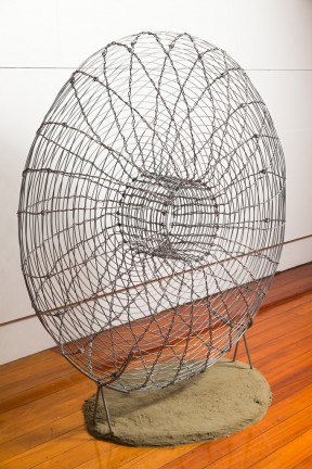 2015 Winner Eye Sight Rebecca Rose