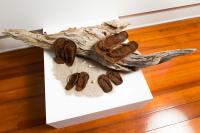 Second place Rusty Jandals Gone for a swim Dagmar Elliot