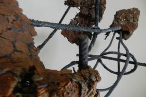 The Cardinals, Elsa Lye, Merit