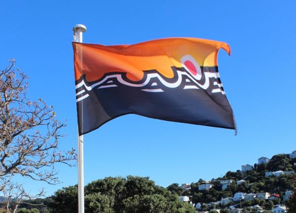 Bronwyn Holloway Smith Pioneer City Flag Winner 2015 National Contemporary Art Award crop3