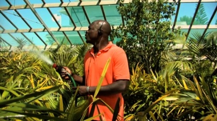 Ah Round Rebecca Ann Hobbs 