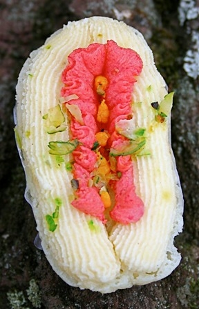 In the eye of the beholder Bernie Harfleet 