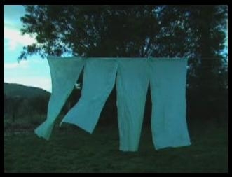 Zephyr by Catherine Day 