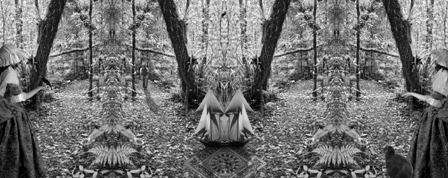 Intersecting time Vivian Ward 